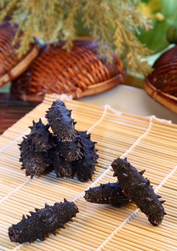 Japan Thorn Sea Cucumber - Chi Sen